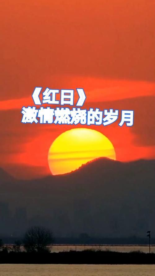 激情燃烧的岁月如何下载？高清音质免费获取方法