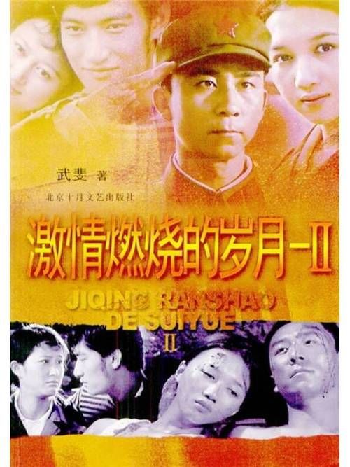 激情燃烧的岁月官方网站：追忆经典老剧，重温热血青春