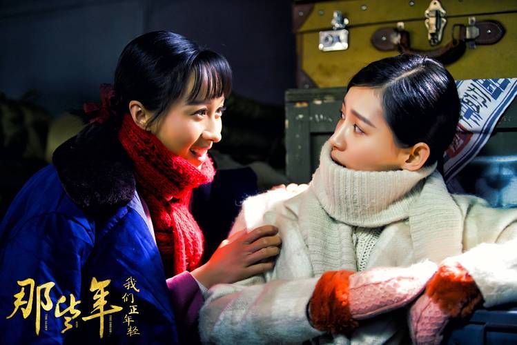 激情燃烧的岁月官网：那些年，我们一起追的电视剧