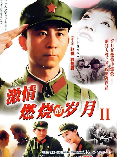 激情燃烧的岁月官网：那些年，我们一起追的电视剧