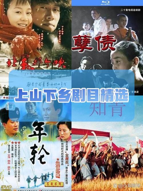 激情燃烧的岁月官网：那些年，我们一起追的电视剧