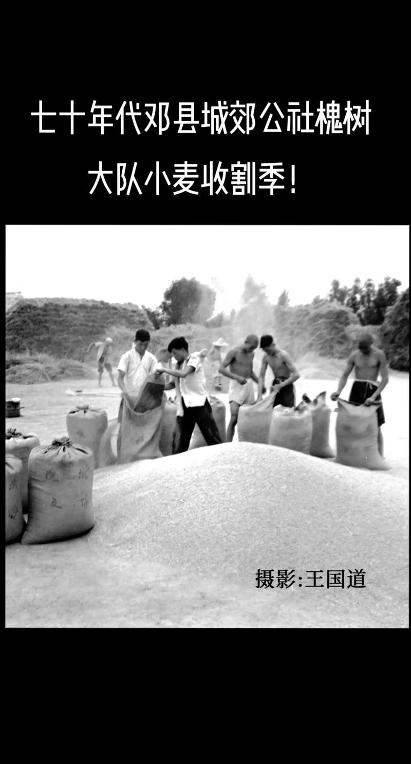 激情燃烧的岁月最新更新地址分享,快速观看 激情燃烧的岁月最新更新地址分享,快速观看