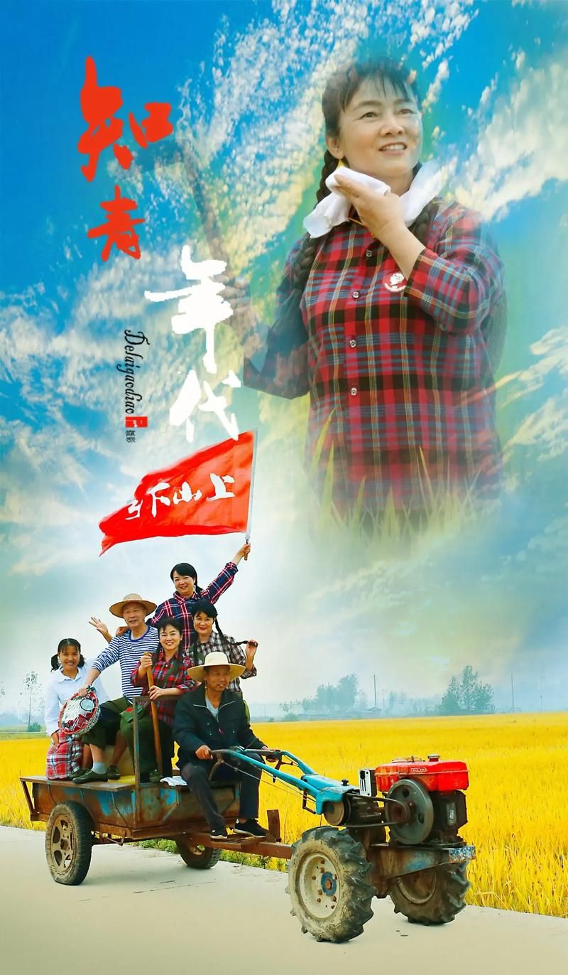 激情燃烧的岁月最新版本剧情介绍及观看指南！