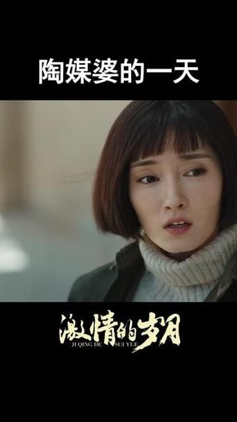 激情燃烧的岁月最新版本剧情介绍及观看指南！