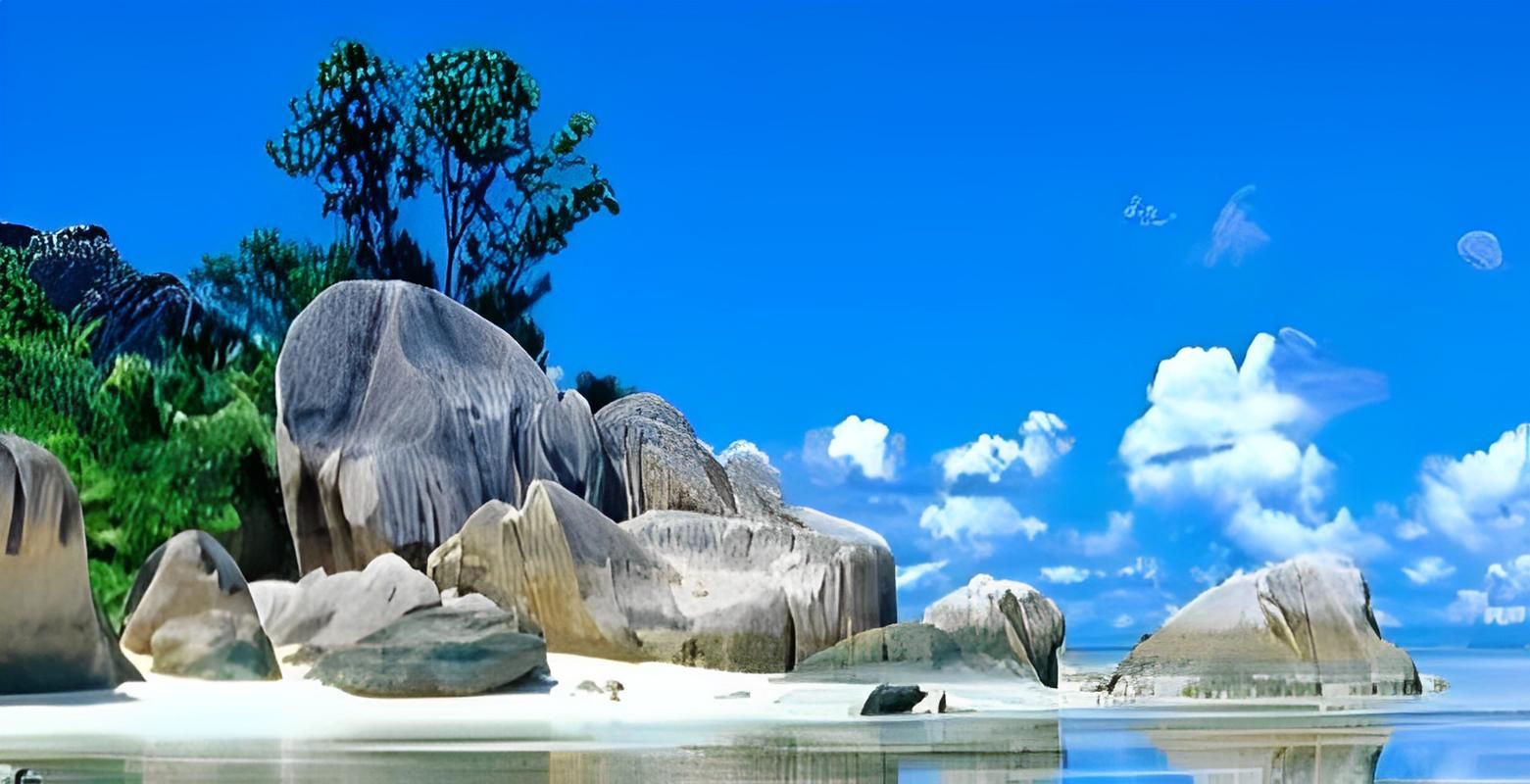 炙热的岛国生活官网：你的专属热带岛屿等你管理