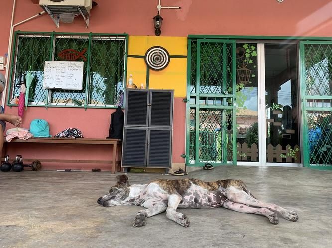 炙热的岛国生活官网：你的专属热带岛屿等你管理