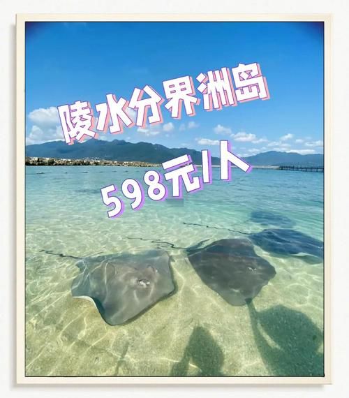 炙热的岛国生活最新动态：跟随小编一起畅游岛国风情