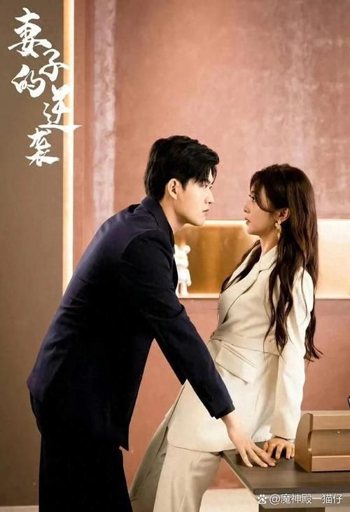 热门推荐：妻子的困境重温最新剧情详解