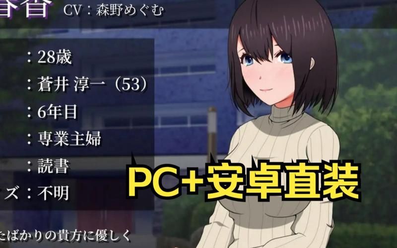 热门绅士游戏推荐：隔壁太太今天也独自一人2详解