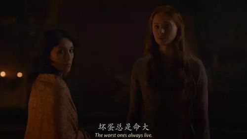 爱与诱惑第二季：杨过游戏，精彩剧情不容错过