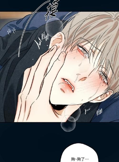 爱欲の色版本大全：从经典到现代，爱欲的多种诠释