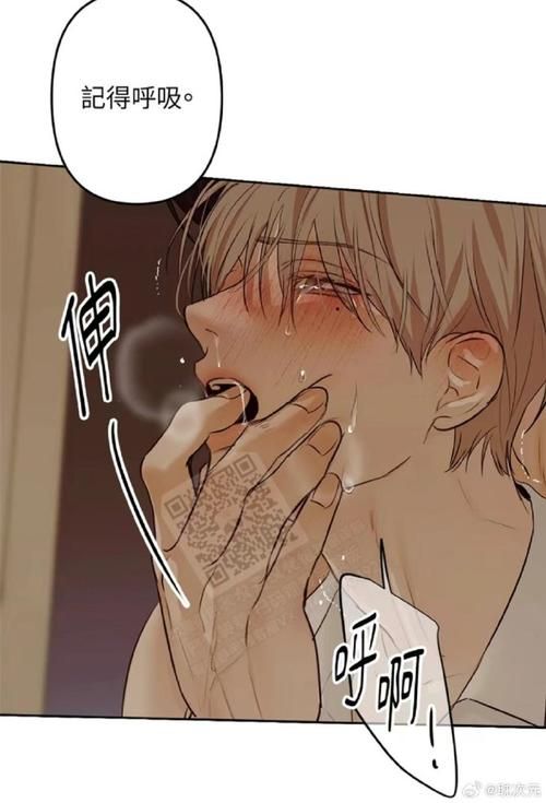 爱欲の色版本大全：从经典到现代，爱欲的多种诠释