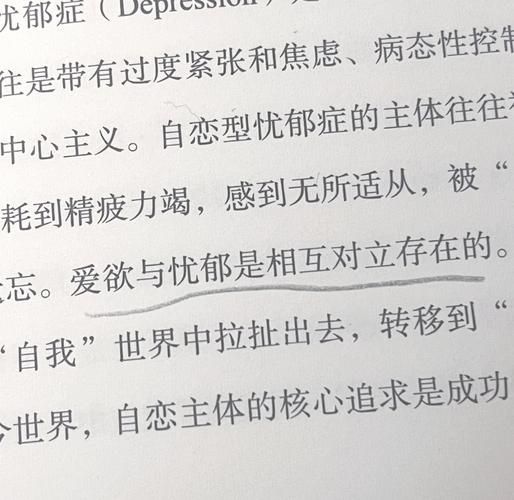 爱欲之都最新攻略分享：快速通关技巧大公开