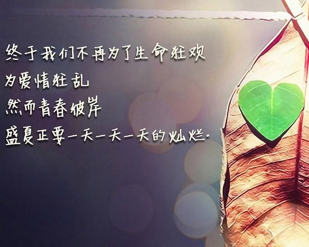 爱的初体验安卓版下载，重温经典青春回忆