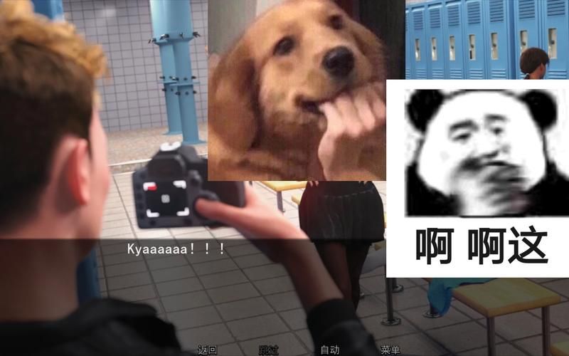 猎艳逐影更新地址公布，不容错过精彩剧情！