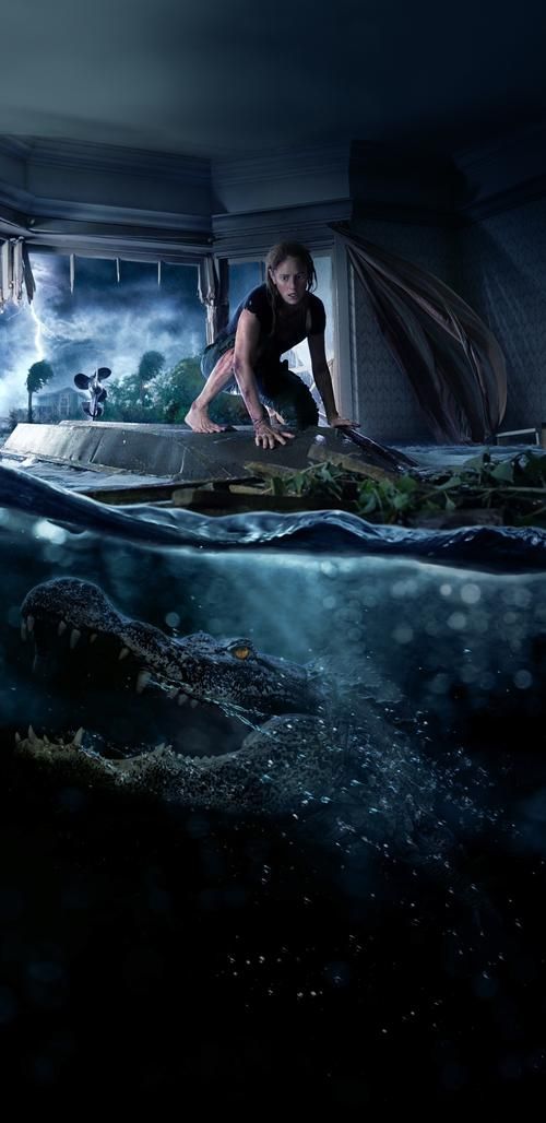 猎艳逐影版本大全：高清资源，满足你的猎奇心！