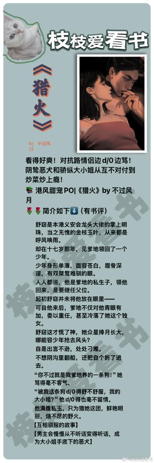 猎艳逐影软件下载渠道有哪些？正规途径下载，远离风险