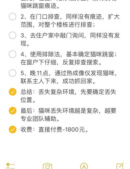 猫咪游戏更新，地址变更怎么办？快速上手指南！