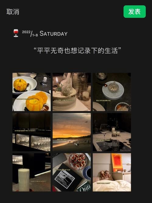 玩转简单的日子安卓汉化版：新手入门指南