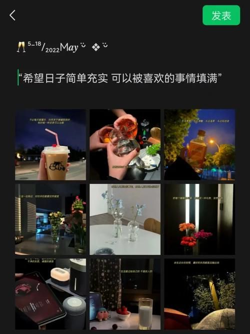 玩转简单的日子安卓汉化版：新手入门指南