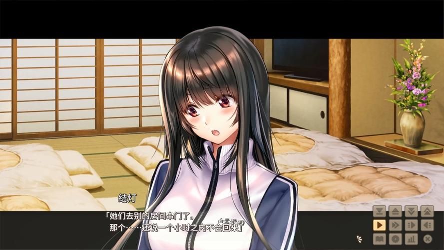 甜蜜女友2汉化版最新更新：不容错过！