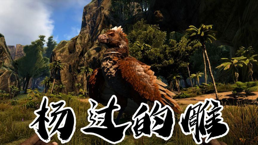 生命竞赛杨过游戏下载：最新版本推荐！