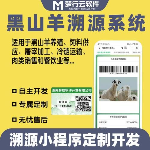 电子羊下载地址大全：免费获取歌曲和软件