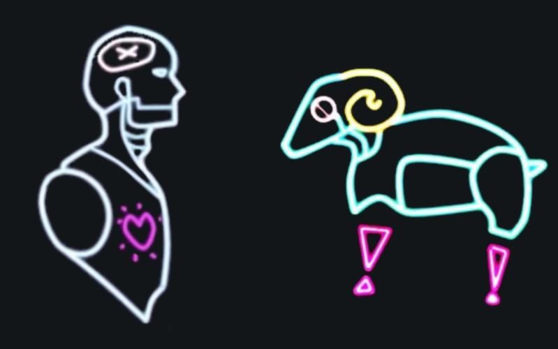 电子羊下载地址大全：免费获取歌曲和软件