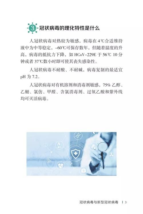 病毒危机Z最新版本是多少?附下载方法及版本对比 病毒危机Z最新版本是多少?附下载方法及版本对比