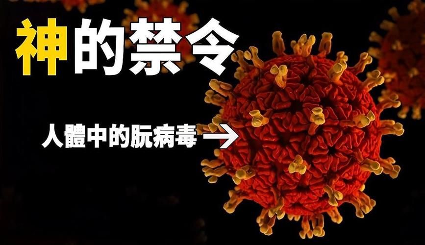 病毒危机Z汉化版：最新更新内容详解及下载