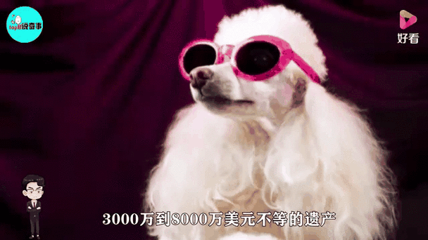 百万遗产等你继承!遗产逆袭游戏介绍及玩法攻略 百万遗产等你继承!遗产逆袭游戏介绍及玩法攻略