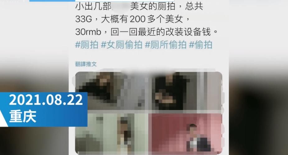 盗摄学园安卓汉化游戏：全CG存档免费获取