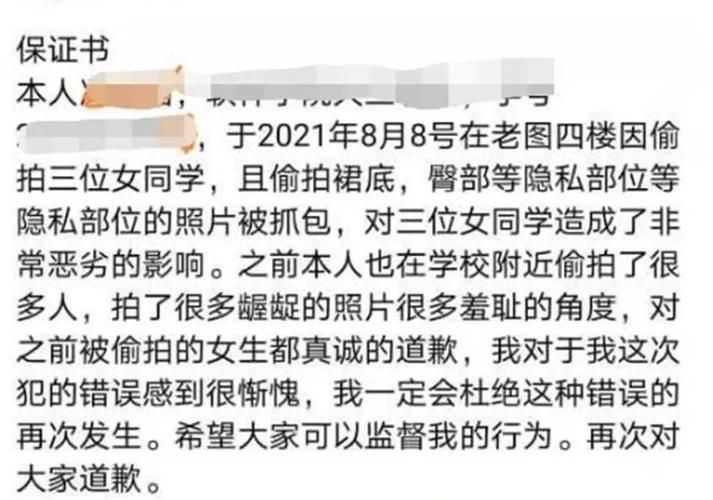 盗摄学园游戏介绍：揭秘校园盗摄事件真相！