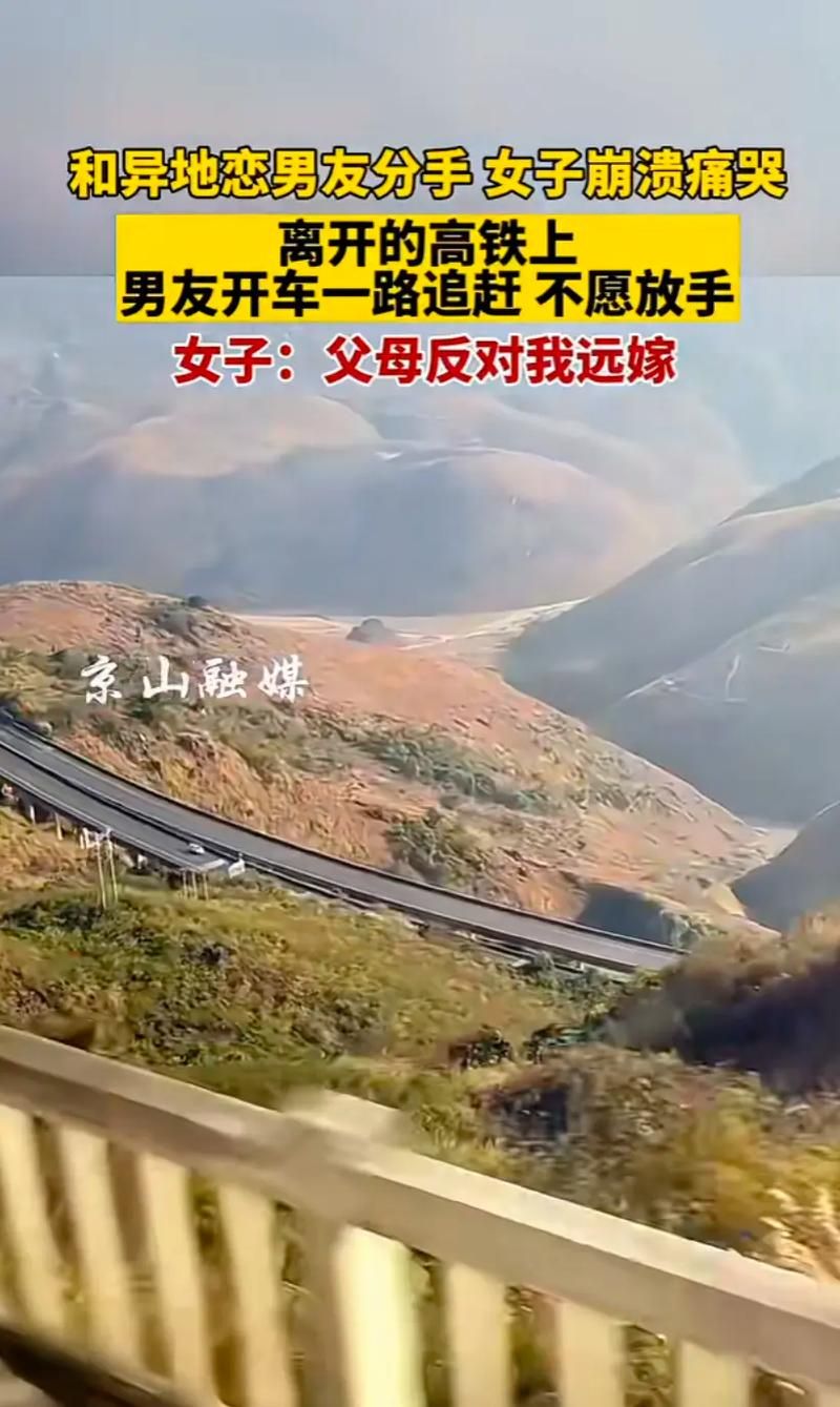 相亲攻略之宝贝别再选我了游戏:新手必看通关秘籍 相亲攻略之宝贝别再选我了游戏:新手必看通关秘籍