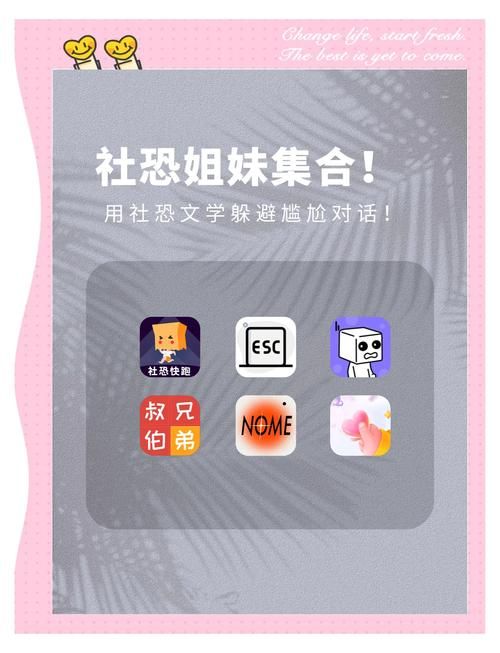 社群审查安卓直装版：快速上手，轻松审核社交内容