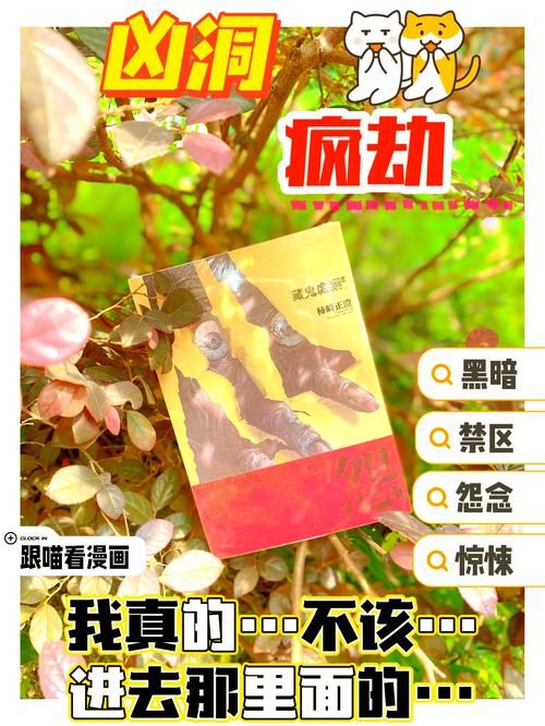 禁忌的秘密官方网站地址：解密神秘故事，体验刺激剧情