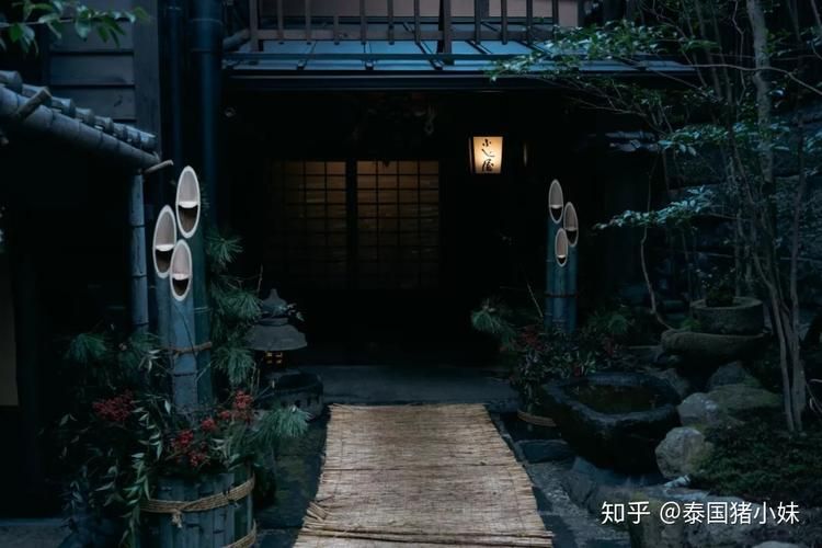 秘汤女孩最新版本是多少？玩家评价及游戏体验分享