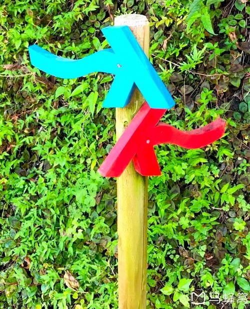 秘汤女孩最新版本更新内容抢先看