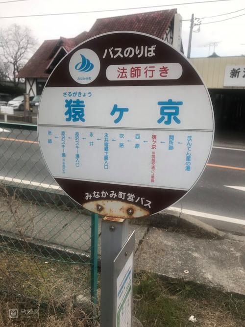 秘汤女孩版本大全：下载地址及游戏攻略分享