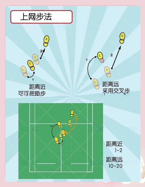 简单几步教你下载高等社会，小白也能轻松搞定