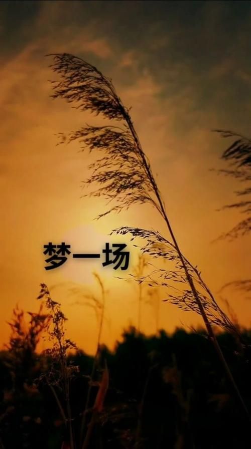 简单的日子下载地址在哪？高清音质免费下载