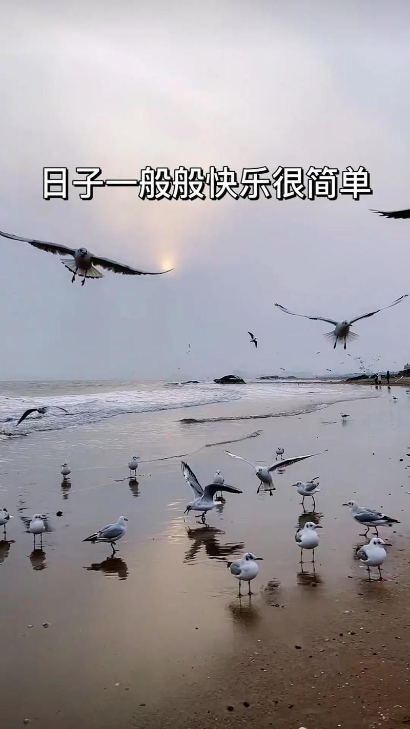 简单的日子官方网站：玩家交流，攻略分享