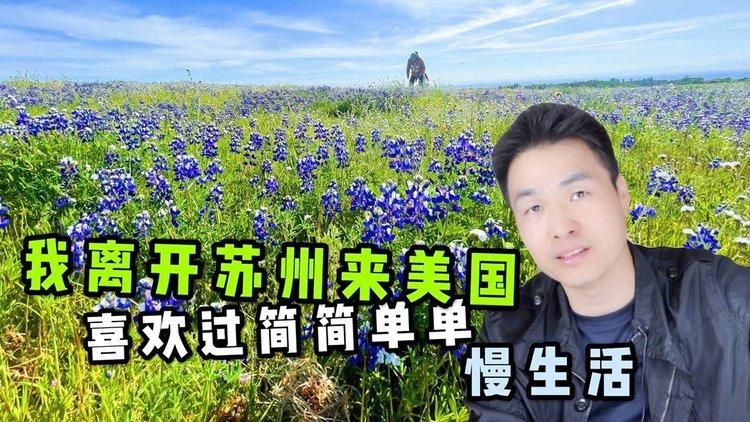 简单的日子歌曲下载方法，超简单教程！