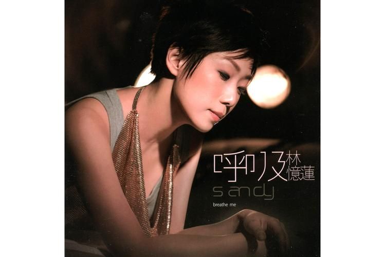 简单的日子歌曲更新地址，方便快捷试听下载！