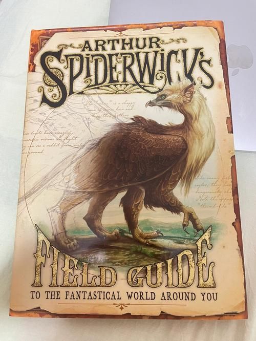 精灵蕾雅官网入口：带你进入奇幻精灵世界