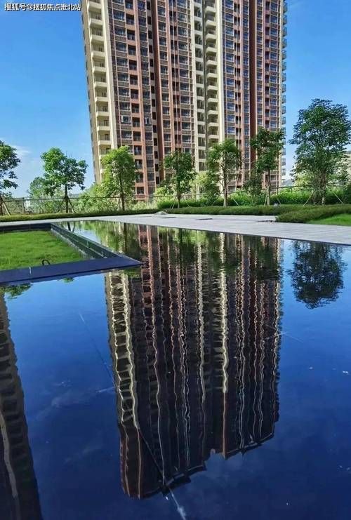 精英花园最新版本下载地址：免广告纯净版推荐