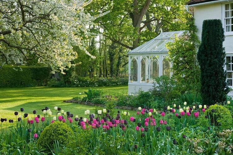 精英花园最新版本下载地址：免广告纯净版推荐