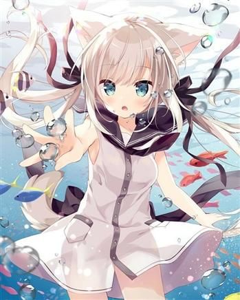 精选猫娘游戏合集：猫娘版本大全，满足你的猫娘梦