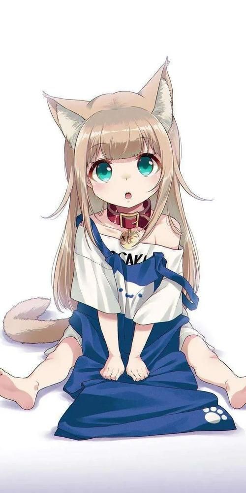 精选猫娘游戏合集：猫娘版本大全，满足你的猫娘梦