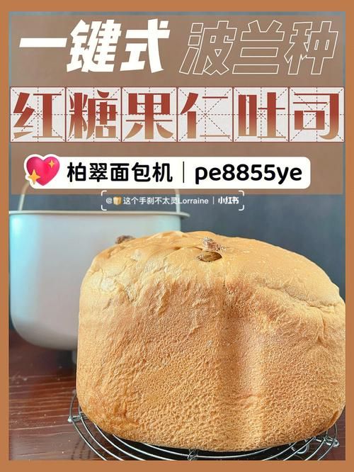 糖果软件下载平台推荐，安全便捷又省心